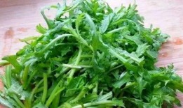 吃瓜扒皮狼茼蒿,茼蒿背后的故事与真相