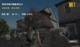 司马瓜吃鸡视频,趣味横生游戏瞬间