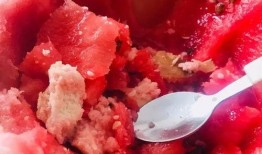 吃瓜的泡泡,揭秘娱乐圈幕后故事