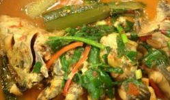 鱼吃瓜视频,揭秘水下美食奇观