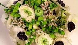 花店老板吃瓜,花店老板的瓜田奇遇记