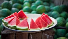 吃瓜群资源群,揭秘网络社交背后的秘密世界