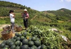 瓜哥带你吃瓜山山寨物品,揭秘神秘物品背后的传奇故事