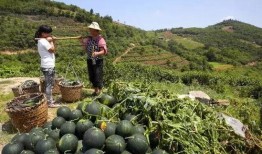 瓜哥带你吃瓜山山寨物品,揭秘神秘物品背后的传奇故事