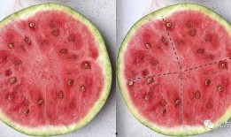 科学吃瓜意思,揭秘健康饮食新潮流