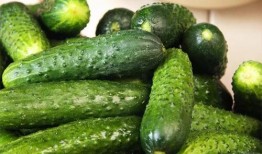 小暑吃瓜注意什么,注意事项与美味推荐