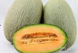 午后可以吃哈密瓜,尽享哈密瓜的甘甜滋味