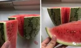 科学吃瓜意思,揭秘健康饮食新潮流