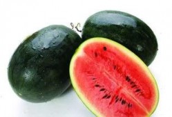 朝堂吃瓜345,揭秘吃瓜群众眼中的345事件