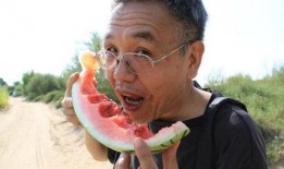 奇葩发型带你吃瓜,跟随奇葩发型探寻娱乐圈吃瓜盛宴