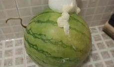 吃瓜的泡泡,揭秘娱乐圈幕后故事