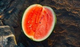 吃瓜真菌,揭秘神奇食菌的奥秘与魅力