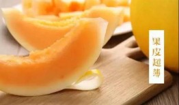 吃蜜瓜怎样挑,轻松掌握挑选美味蜜瓜的秘诀