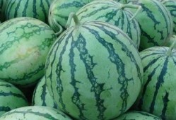 吃瓜的小傻,揭秘美食背后的故事