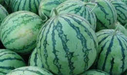 吃瓜的小傻,揭秘美食背后的故事