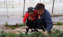 外甥来棚里吃瓜,外甥的夏日美食之旅