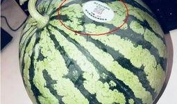 718网红吃瓜,揭秘娱乐圈幕后真相