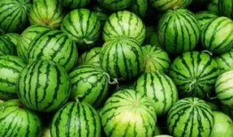 吃瓜群99307786,一场全民参与的娱乐盛宴