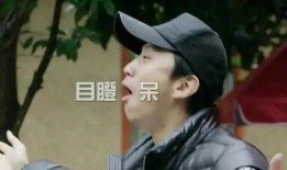 短命影后吃瓜看戏,吃瓜看戏，揭秘娱乐圈风云变幻