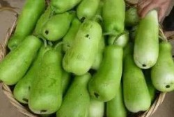 葫芦瓜烫着吃,烫出美味，暖胃又养生