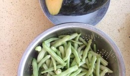 吃瓜直播吃豆角,吃瓜群众围观吃豆角直播