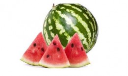 24瓜吃西瓜,一场别开生面的西瓜盛宴