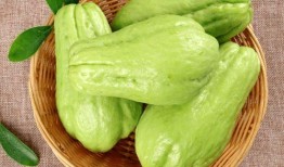 佛手瓜和白瓜一起吃,营养互补的养生佳肴