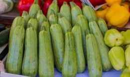 葫芦瓜要怎么吃,解锁健康美味新体验