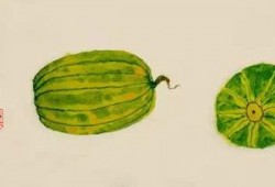 杏花吃瓜,杏花村里的吃瓜趣事