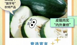 佛山吃瓜群,揭秘本地热门话题与趣味生活