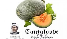 1吃瓜合集,1吃瓜合集里的趣味人生百态