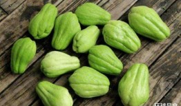 佛手瓜和白瓜一起吃,营养互补的养生佳肴