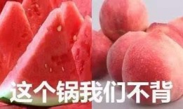 西瓜吃瓜大队直播,欢乐互动，瓜界盛宴