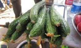 泰山景区吃瓜,清凉一夏，品味自然美味