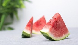 小飞瓜吃西瓜,小飞瓜的甜蜜西瓜之旅