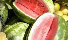 1吃瓜合集,1吃瓜合集里的趣味人生百态