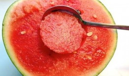 拍镜子吃瓜,揭秘拍镜子吃瓜的趣味现象