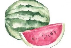 吃瓜者什么意思,网络时代的旁观者与评论家