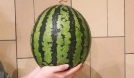 花吃瓜 78=几,花吃瓜78，揭秘数字背后的奥秘