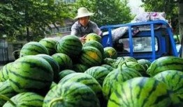 吃瓜郑州,吃瓜群众眼中的城市风云录