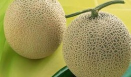 吃哈密瓜舌头坏,舌头坏掉背后的惊人真相