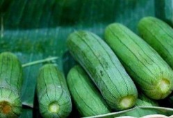 立秋后常吃三瓜,常吃三瓜，健康一整秋