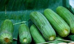 立秋后常吃三瓜,常吃三瓜，健康一整秋