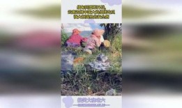 边界打仗大妈吃瓜,大妈街头吃瓜热议时事风云